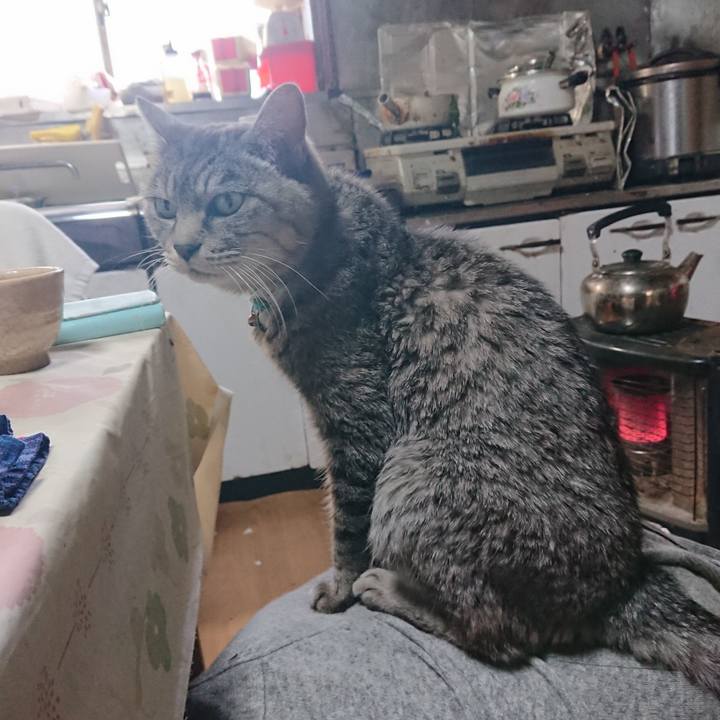 B1edf7f6 1b9d 419a 8690 e6b324b0b0fa 1575175291899