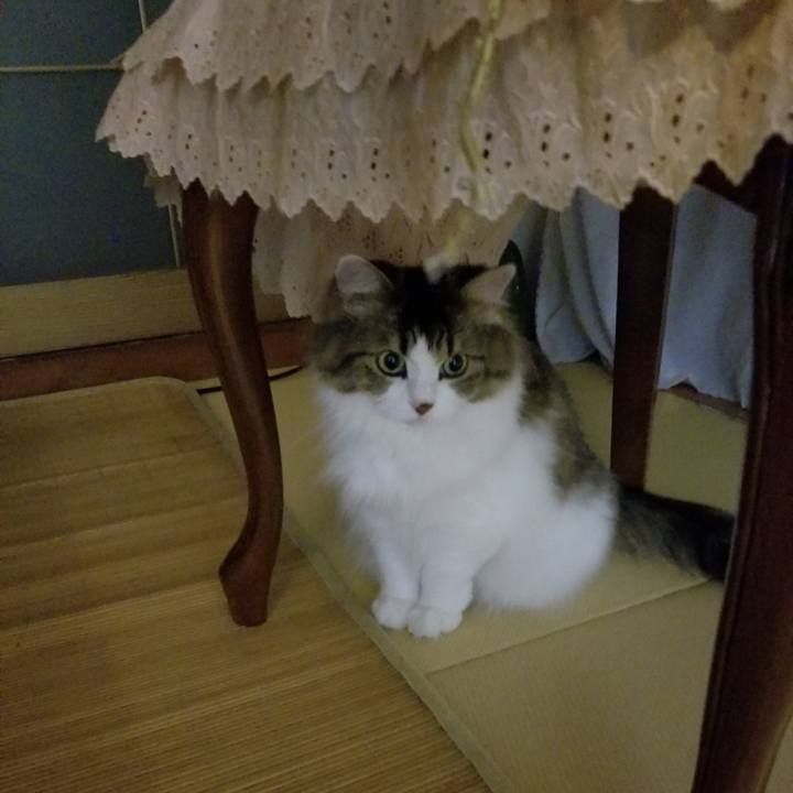 B1ee2e59 0f1f 468b 97cb d7deb3d14997 1533818419446