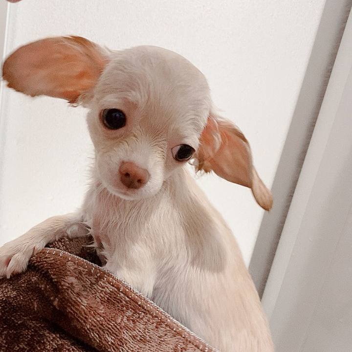 B1ee4037 1e2a 4f8a 9352 75f8a6534c77 1593321189989