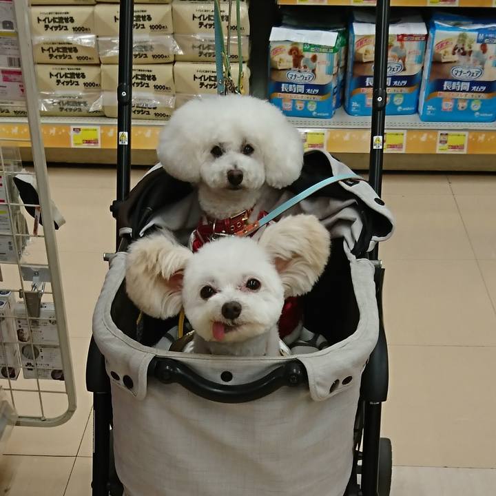 B1ee599c cc48 46c5 b55f 5265046ab468 1577327346376