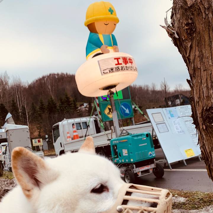 B1ee5a7e 7228 48be a992 3c943487e084 1638939063505