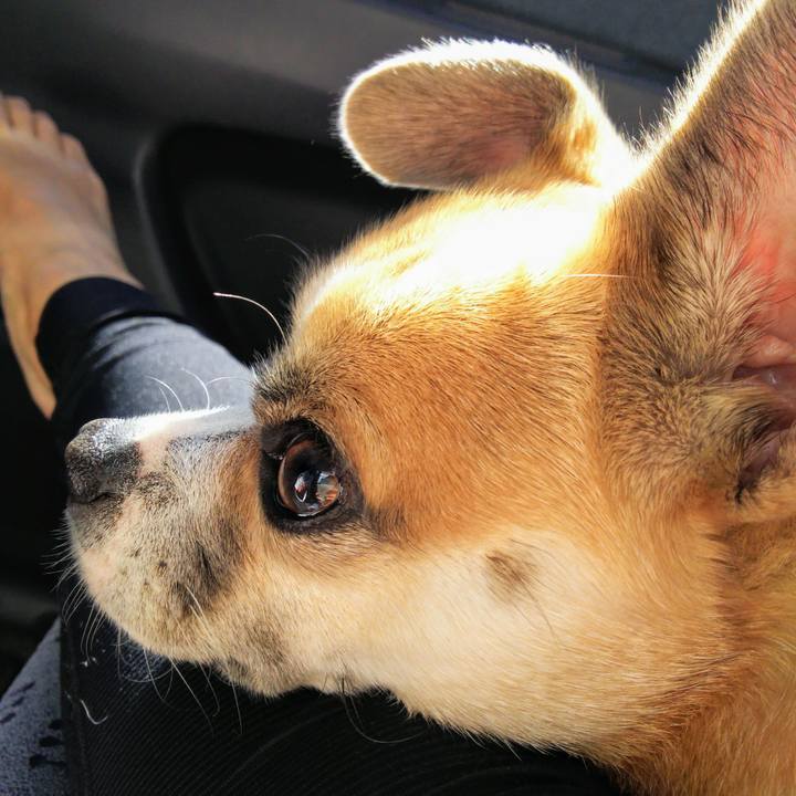 B1ee7583 6b47 49c2 8cc9 45d46f9e2ba6 1539034143797