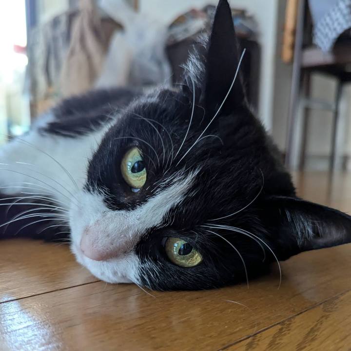 B1ee9e2f 6c23 482c 8a83 2ac7c14320cd 1722161130799