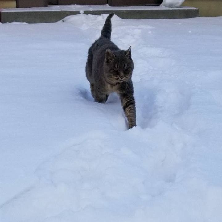 B1eea834 73bc 4e8f acb3 58d715d63067 1517404988553