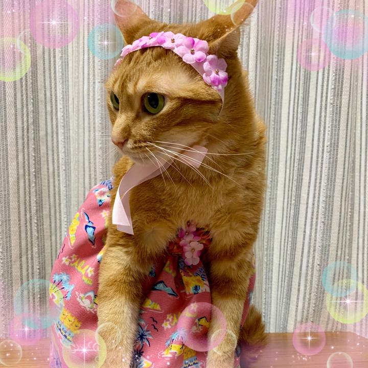 B1eeb456 ef78 485e acc6 3964dbbd2260 1624917179627