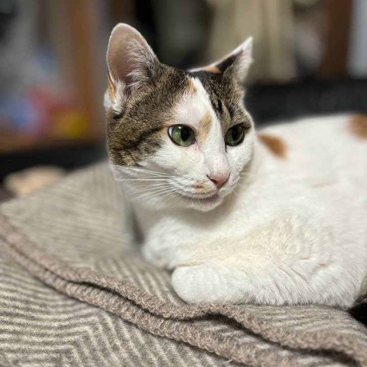 B1eee590 cad3 4c0a 9924 ba787469228d 1703255032701