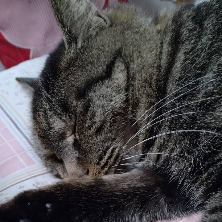 B1ef074d fc67 4ef4 b352 6db2ad22781e 1668987234961