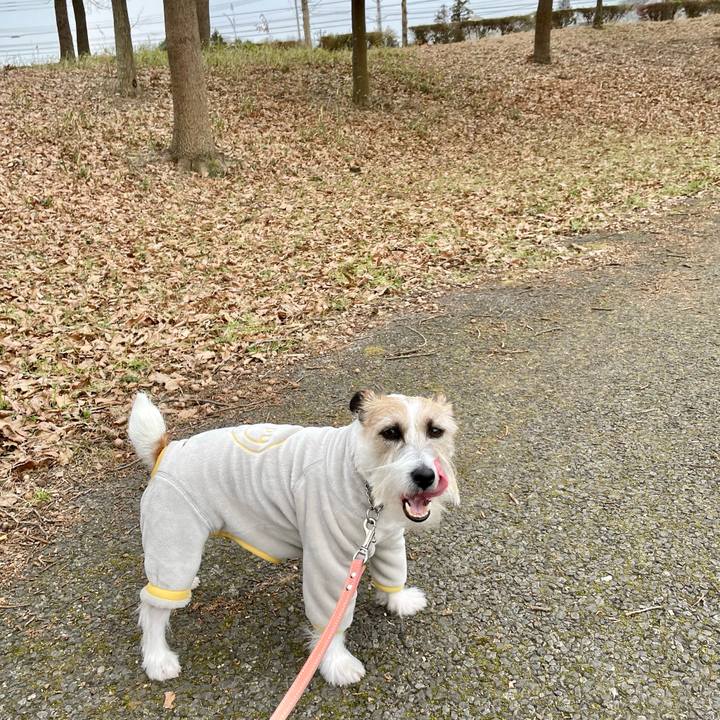 B1ef64e2 cae0 41e7 92a9 c79f008d5f9f 1674817215032