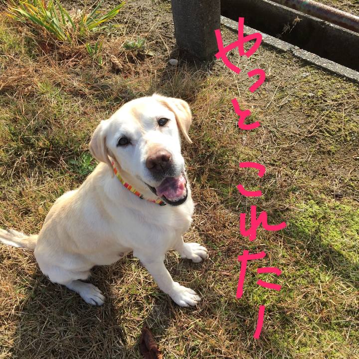 B1ef6cc3 8e10 4797 8e34 e25306f4eab2 1510711302921