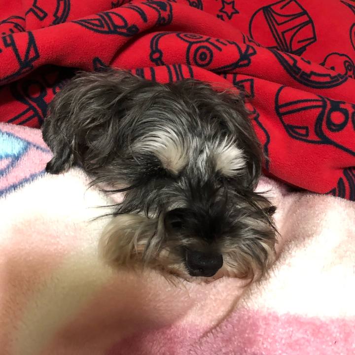 B1ef7fc3 d500 4623 93f8 cc579862b71a 1582638487589