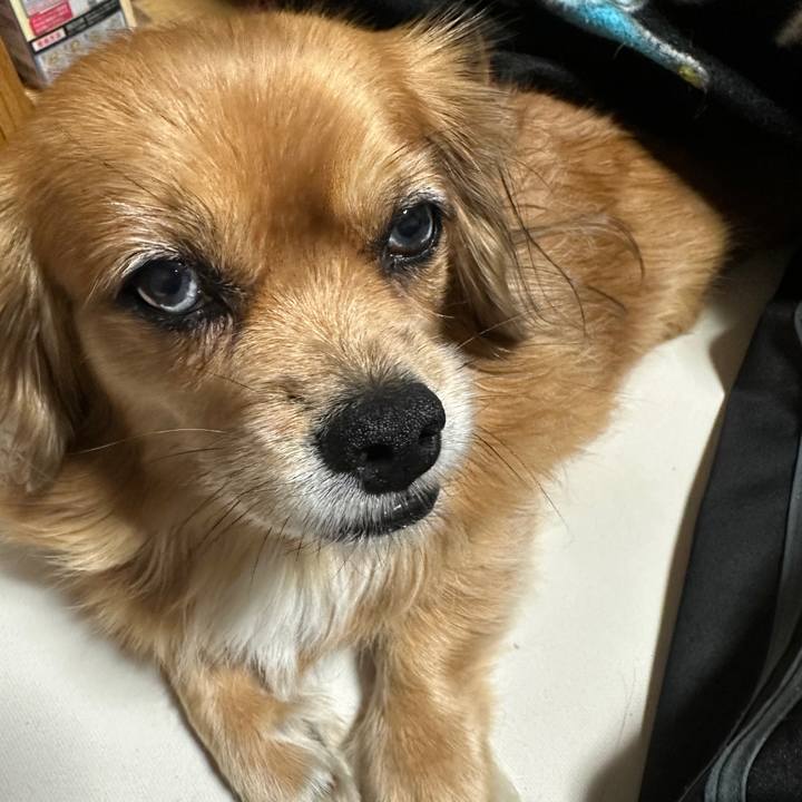 B1efa3a6 c9d7 40d3 9f81 0853b4c46a6d 1700002307225