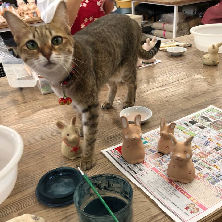 B1efc355 4e00 496e 902e 51bf2814016a 1669261689645