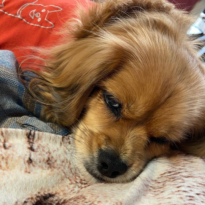 B1efc5fd ab14 4d59 96bf df8a049f9fa5 1610918910899