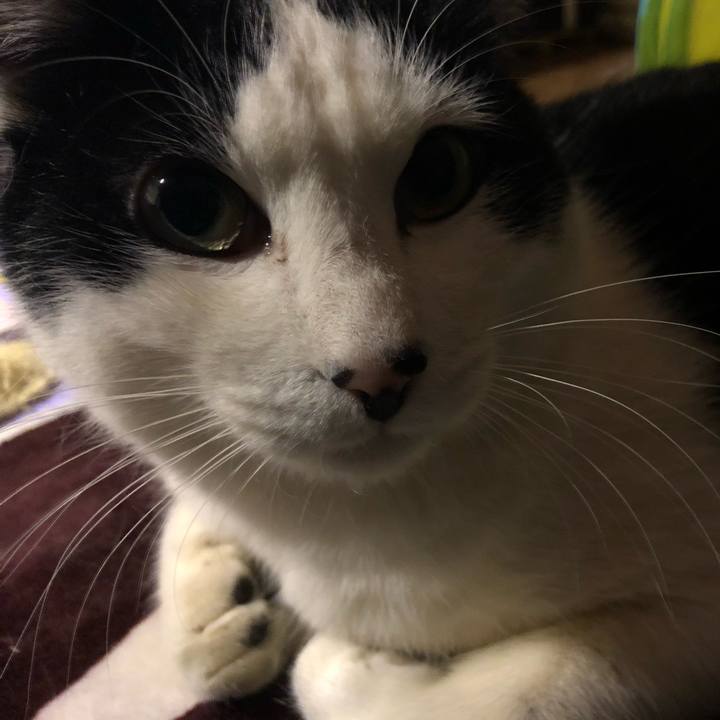 B1efd618 798b 4040 8c3b a33b8f8259b6 1550311484586