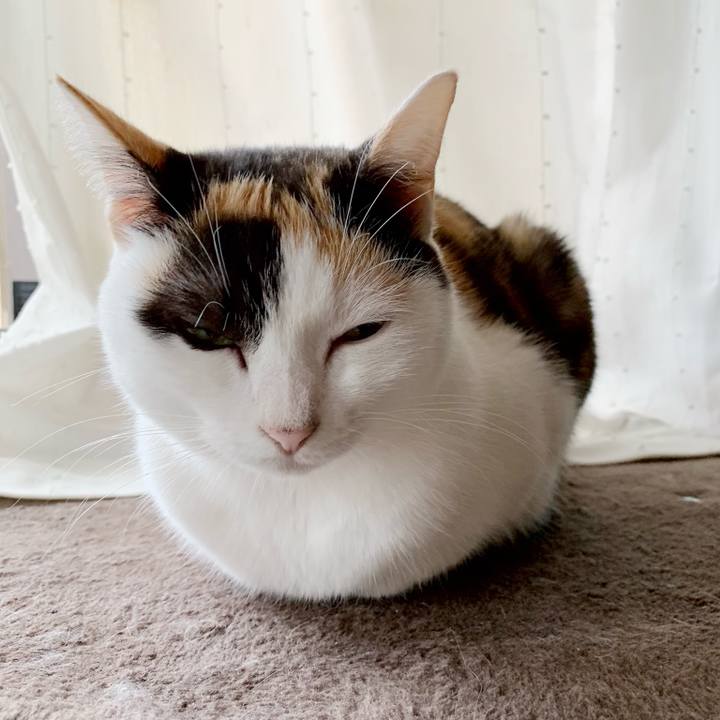 B1efe6ef 05b8 4fe2 bca0 b0929d2a4901 1540688342540