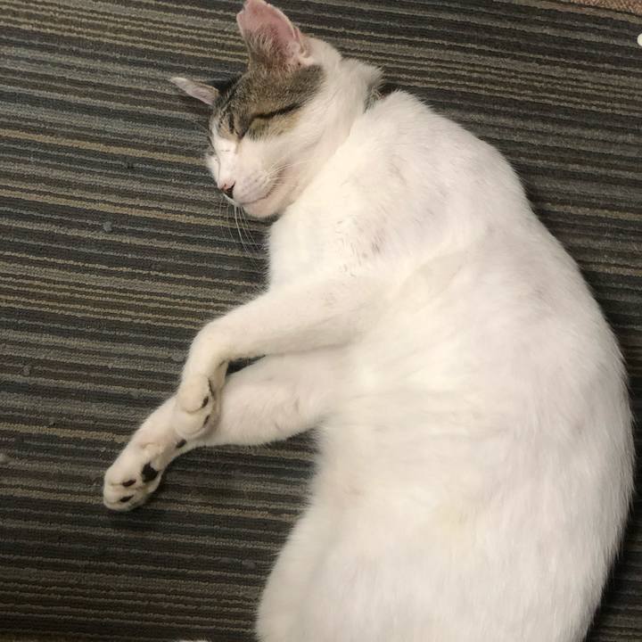 B1f09ae9 9fc3 44b6 a0f7 8e8d4d75dc4e 1566644271956