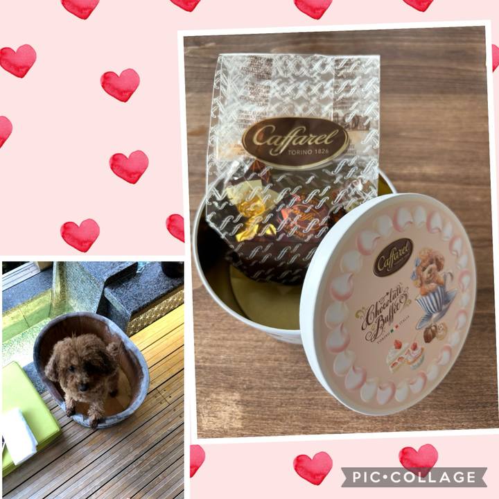 B1f0a011 0040 4700 ad3b 1987197a5c57 1708073232976