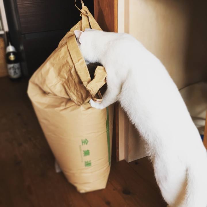 B1f1619a bb2d 4f55 b674 d3d0c5cf31b7 1510188207294