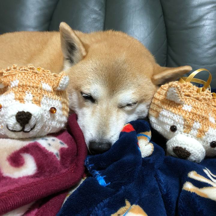 B1f17225 bca0 4e29 95ae e8553ce9944f 1605342775543