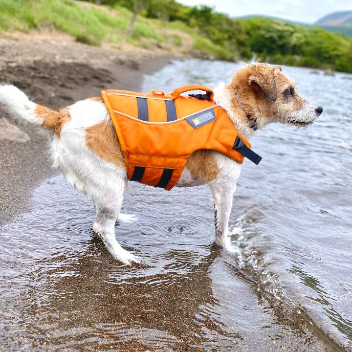 B1f183c0 912c 4340 9e7c 57403398c88d 1717068393104