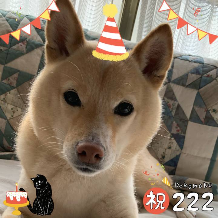 B1f18e10 7a3e 47c3 9520 e0f07382b6a9 1645530823693