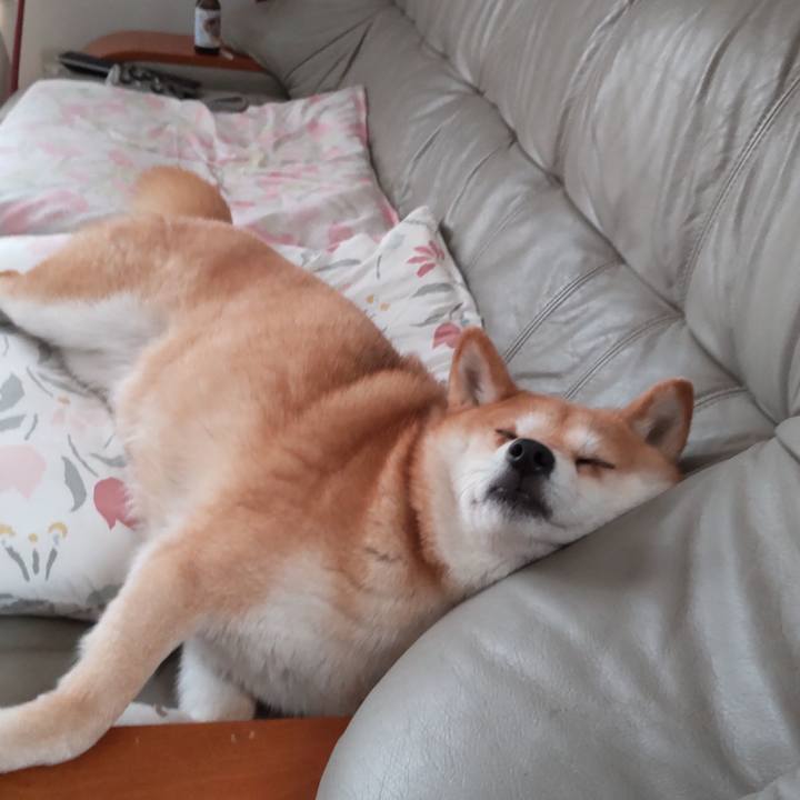 B1f19151 430a 4380 88c7 c51ce8e7f9bc 1747624830724