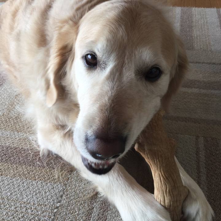 B1f19427 8d3b 4a73 a6b9 d6c0595b6c33 1552368423236