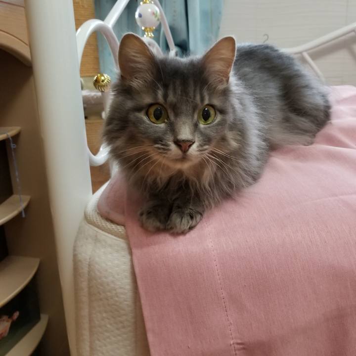 B1f1aa56 4245 4efa 8769 3c68b8976987 1532427723103