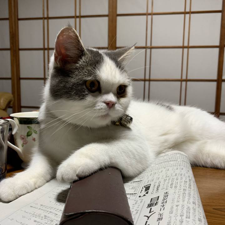 B1f1f513 1ed8 48c9 bdd3 58bd0150aacc 1576649193678