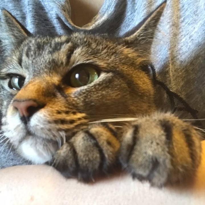 B1f238b4 6cb5 4ade 81ea e07715475797 1558526781433