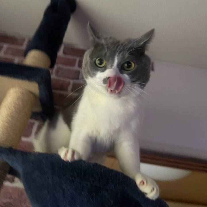 B1f241ce 6af2 4287 881f 135477c58ae0 1738362570392