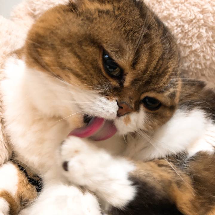 B1f263f9 7bfa 4213 bd86 2226dfb1e77e 1552199134887