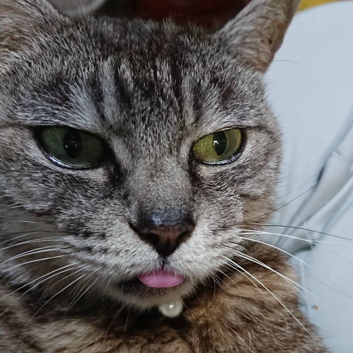 B1f27445 e09a 4ac4 adf0 b72b998497af 1567728290421