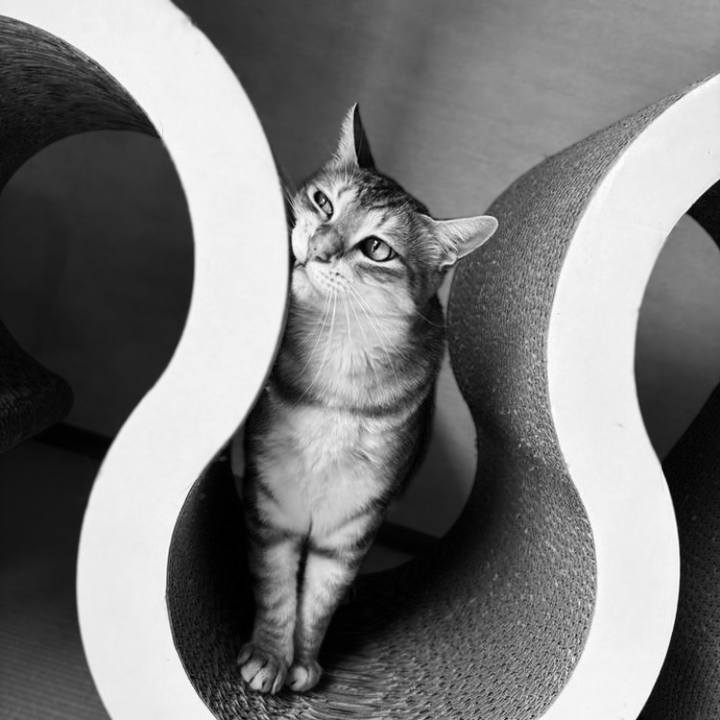 B1f27d54 982c 4eb9 af2a 5400e55dc1f9 1758251309508