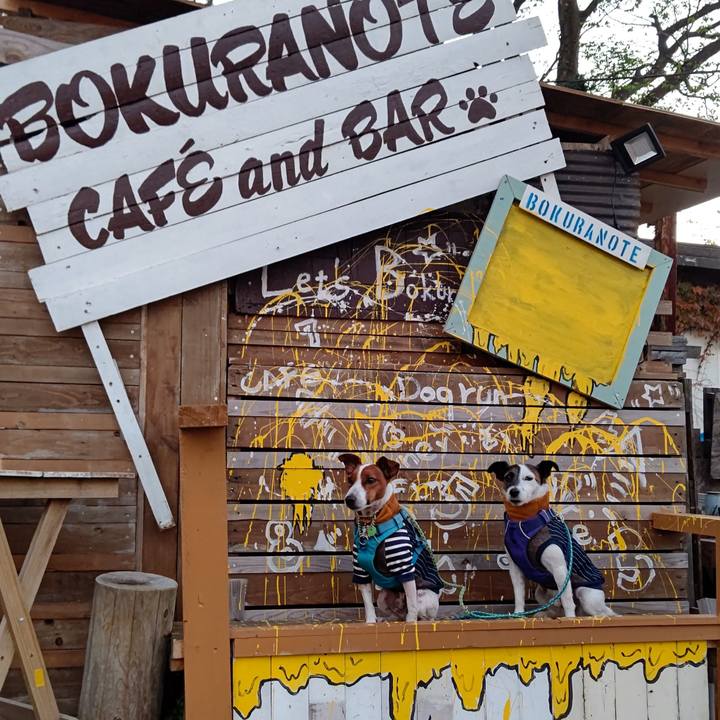 B1f28003 d72d 4d02 92e3 c5863a6b04bb 1636891330971