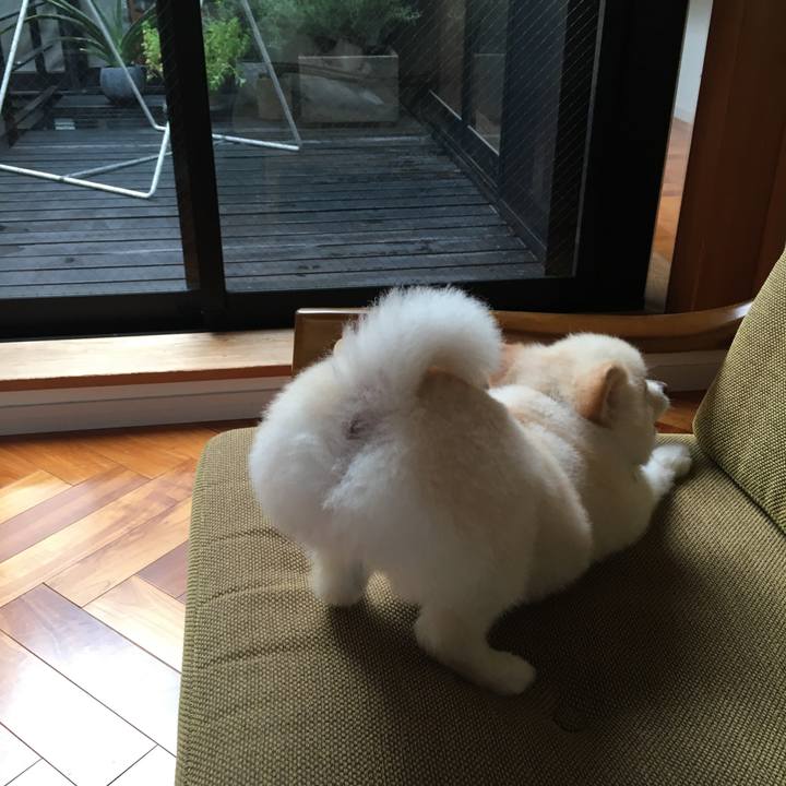 B1f28055 9a3f 4eb2 832e 7632cca1c6cb 1599207474909