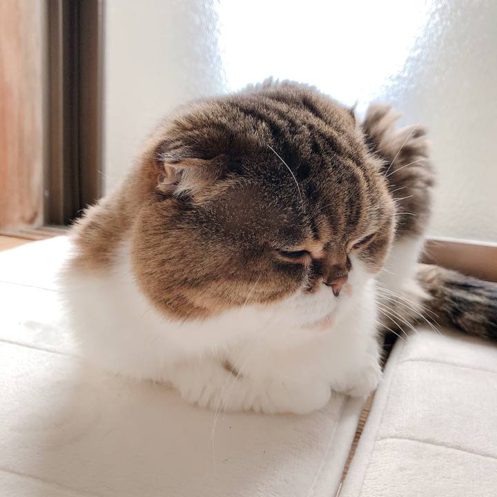 B1f283a5 9a2d 4267 8336 d9692746b659 1587420194805