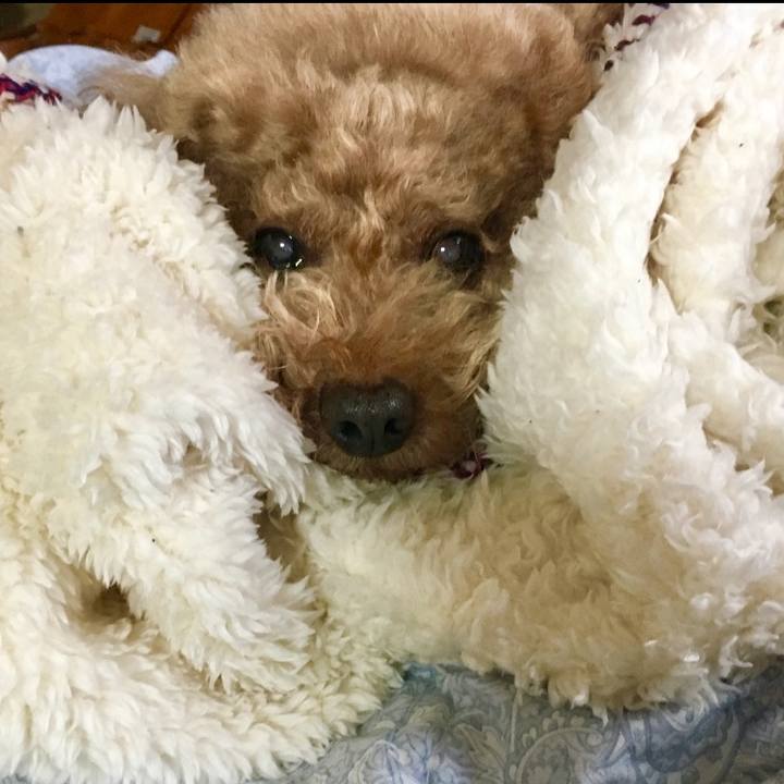 B1f28474 42ce 43c9 96d0 a73820b87355 1548340576445