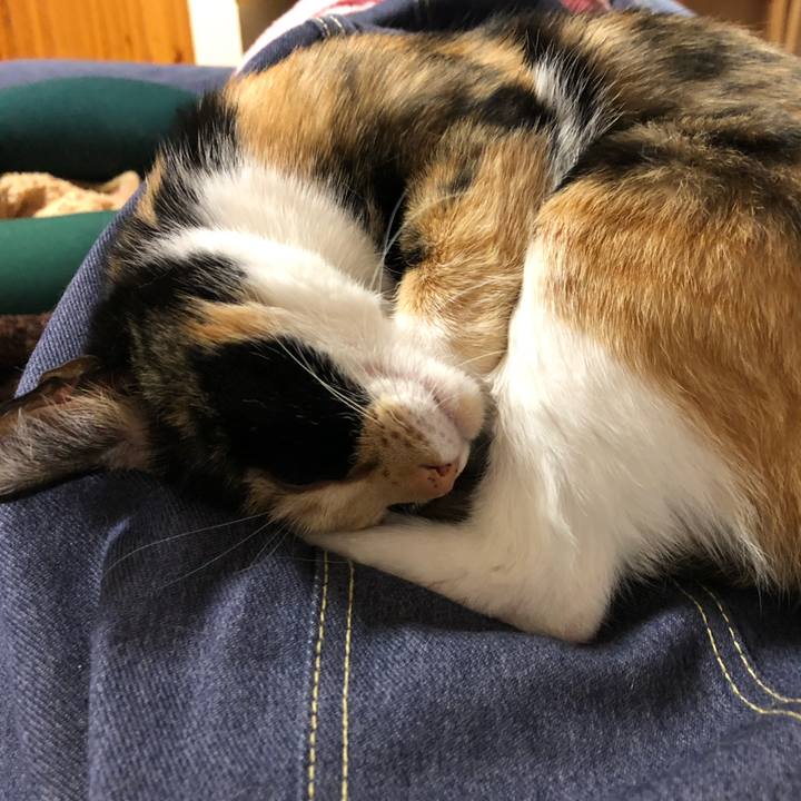 B1f2bf72 a46c 4654 815d 9f7c77df172b 1544179667063