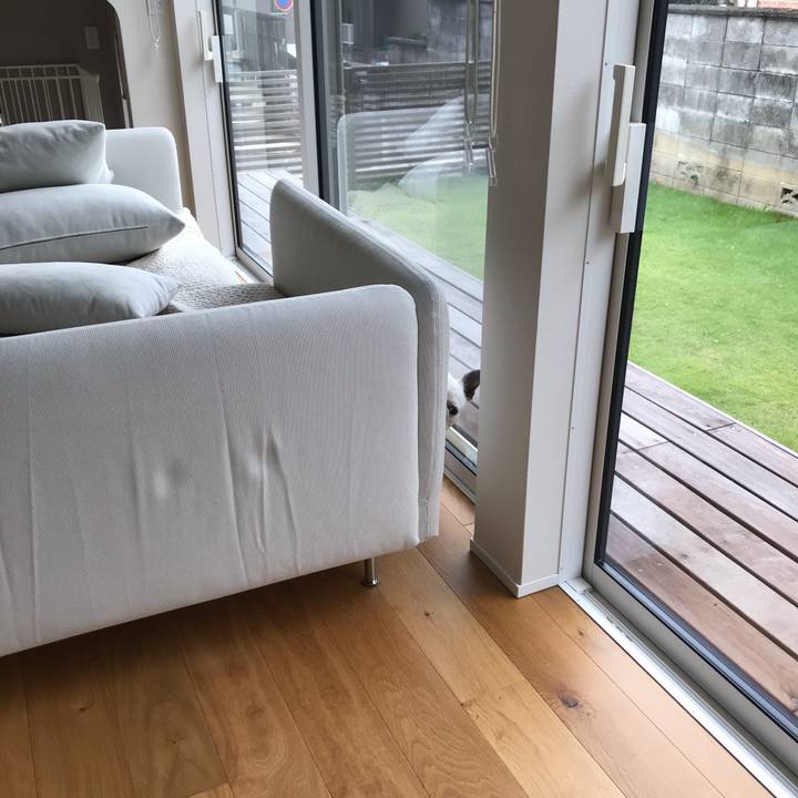 B1f30167 c37d 4888 995d 3d391bc976eb 1600305073448