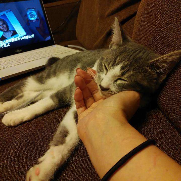 B1f31355 1a1f 42f8 8e75 2d4ea592bc68 1566467001525