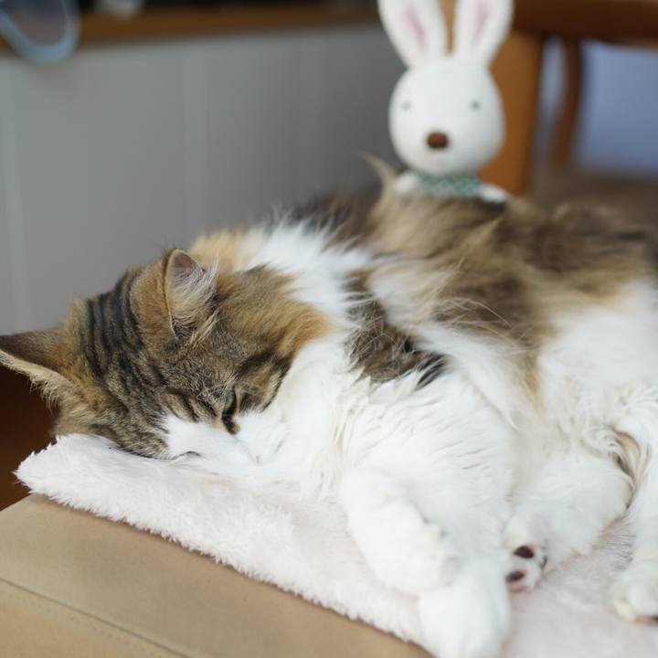 B1f3497c 73b3 4297 969b b66b1de0cdf5 1586840077236