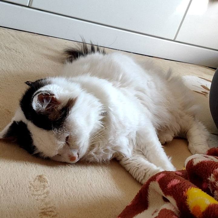 B1f38037 1eeb 47a0 947c ab190556425f 1582258010984