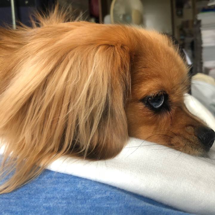 B1f38151 11b4 4827 ba28 f6c6b21d08d8 1539473104108