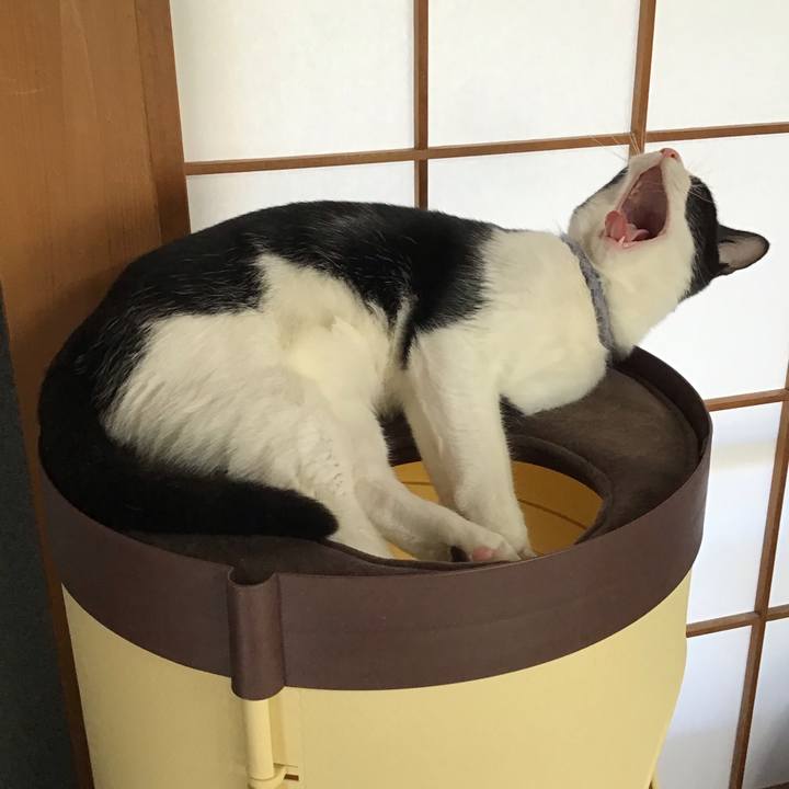 B1f3a0c8 d154 4827 a3b3 d17edbdccd82 1641685937394