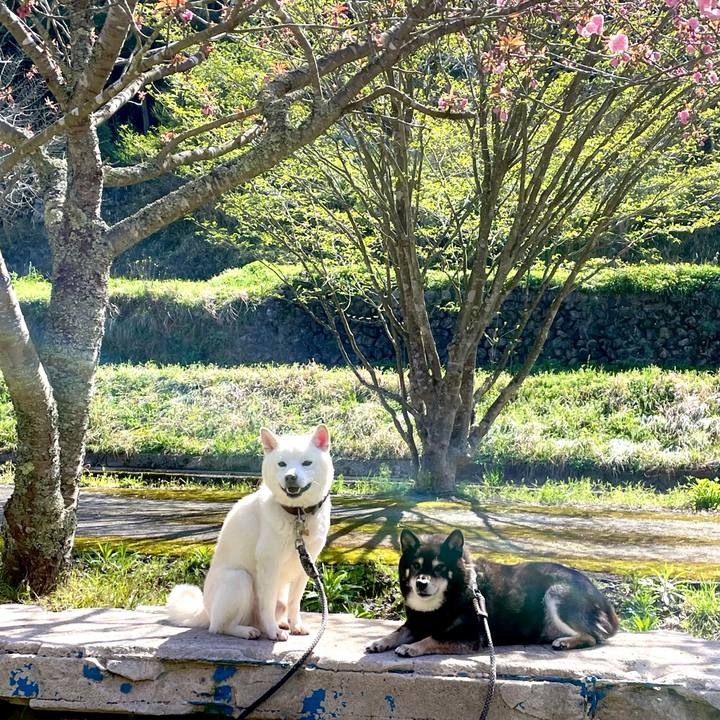 B1f40808 cab2 4558 9906 d15b33ed6cad 1681091897313