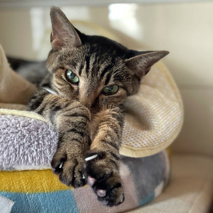 B1f40fce ee46 474e 84dd 4d24932d5494 1631410573545