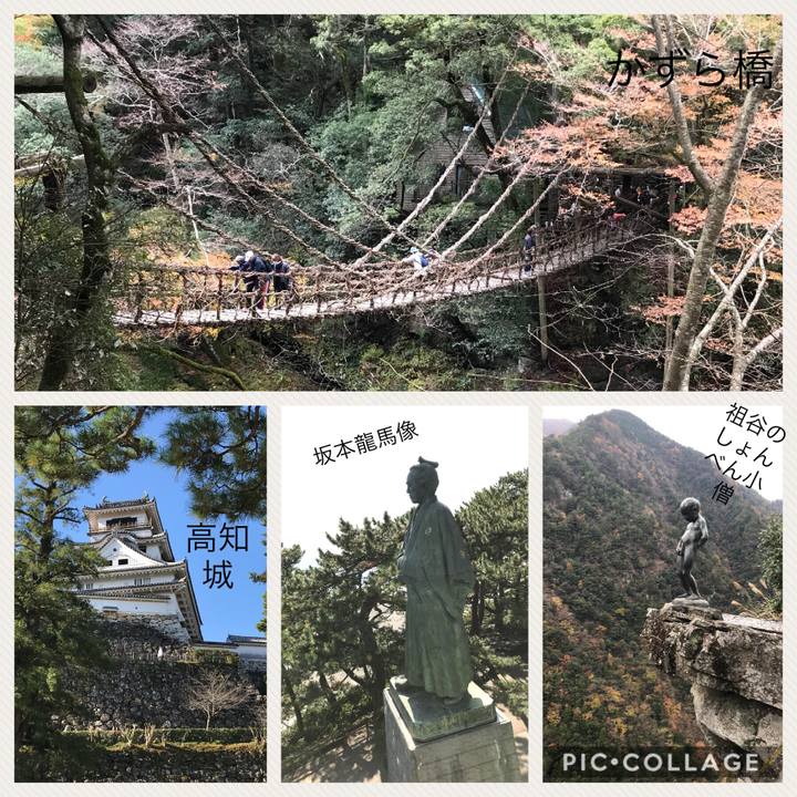 B1f434b7 28b5 4f84 9c4f a97d90a410a1 1511610801985