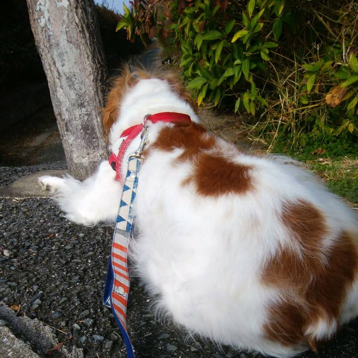 B1f45c01 41ce 41d7 ad2b bddff335eebd 1543297172842