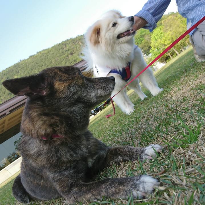 B1f49198 e92d 4dcc 8eee a5549550f90b 1524987332312